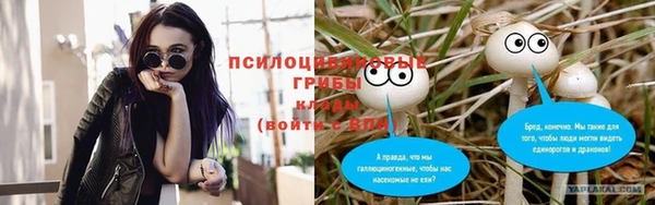 ECSTASY Аркадак