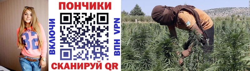 Шишки марихуана LSD WEED  купить наркотики сайты  Нея 